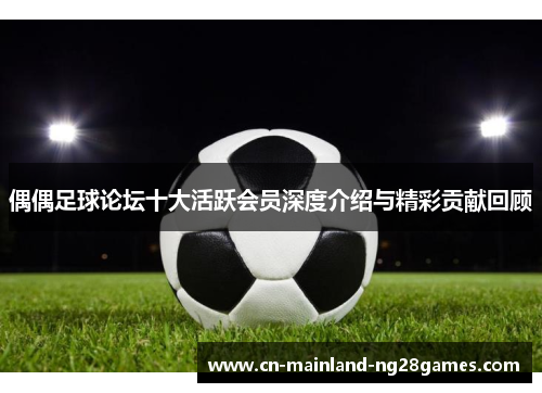 偶偶足球论坛十大活跃会员深度介绍与精彩贡献回顾
