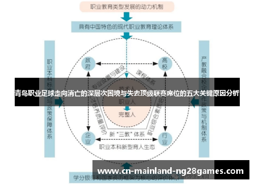 青岛职业足球走向消亡的深层次困境与失去顶级联赛席位的五大关键原因分析