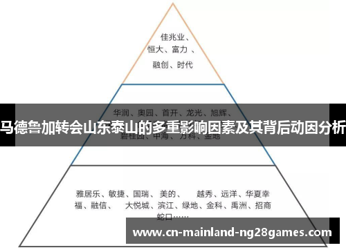马德鲁加转会山东泰山的多重影响因素及其背后动因分析