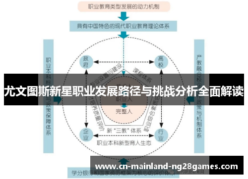 尤文图斯新星职业发展路径与挑战分析全面解读