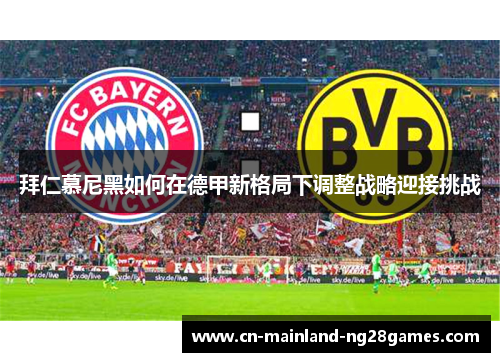 拜仁慕尼黑如何在德甲新格局下调整战略迎接挑战