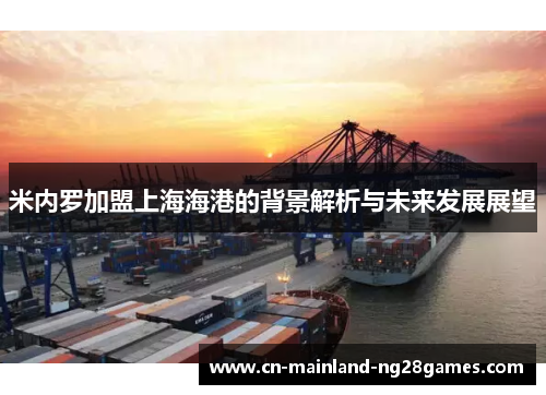 米内罗加盟上海海港的背景解析与未来发展展望